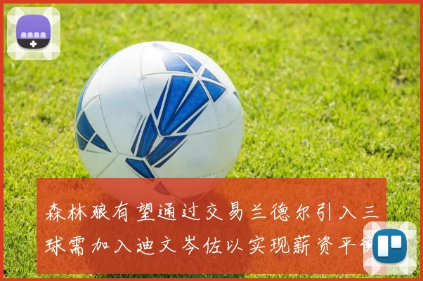 森林狼有望通过交易兰德尔引入三球需加入迪文岑佐以实现薪资平衡